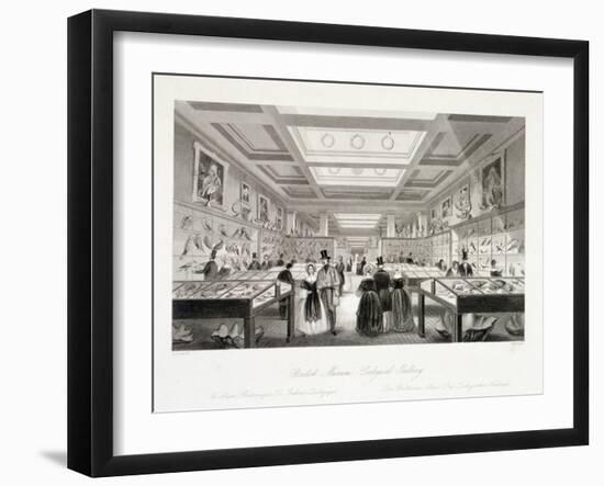 The Zoological Gallery, British Museum, Holborn, London, C1850-William Radclyffe-Framed Giclee Print