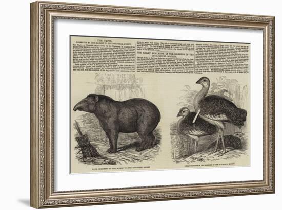 The Zoological Society, London-null-Framed Giclee Print