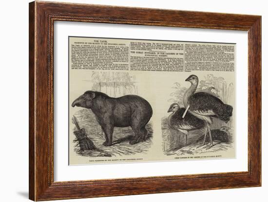 The Zoological Society, London-null-Framed Giclee Print