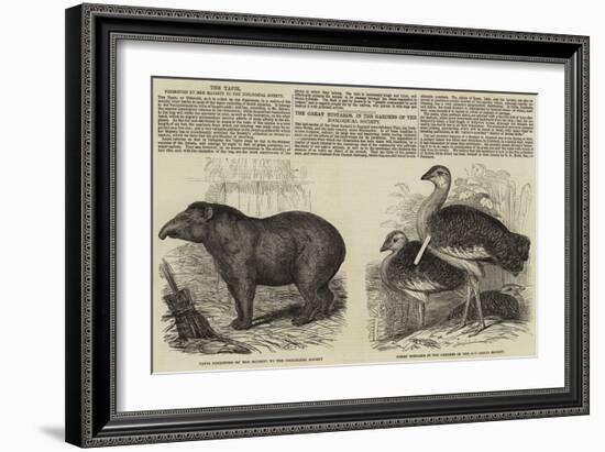 The Zoological Society, London-null-Framed Giclee Print