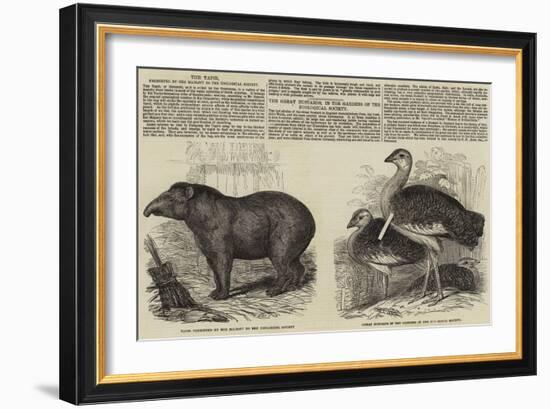 The Zoological Society, London-null-Framed Giclee Print