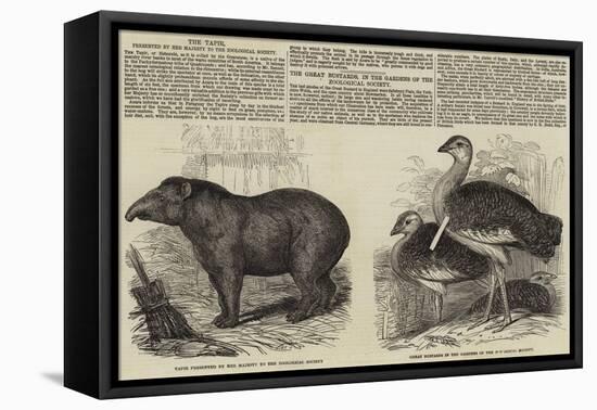 The Zoological Society, London-null-Framed Premier Image Canvas