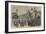 The Zulu War, Departure of the Royal Marines from Portsmouth, Outside the Dockyard-null-Framed Giclee Print