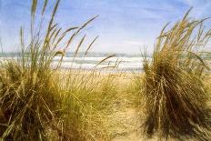 Dune Grass 3-Thea Schrack-Framed Giclee Print
