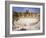 Theatre in the Spectacular Ruined City of Palmyra, Syria-Julian Love-Framed Photographic Print