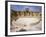 Theatre in the Spectacular Ruined City of Palmyra, Syria-Julian Love-Framed Photographic Print