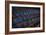 Theatre Seating-Nathan Wright-Framed Photographic Print