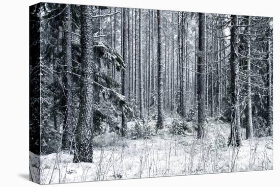Theatrical Cold-Andreas Stridsberg-Framed Stretched Canvas