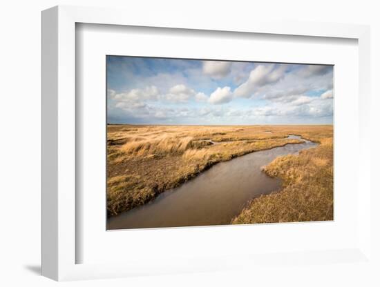 Theddlethorpe Dunes, Lincolnshire Coast, Lincolnshire, England, United Kingdom, Europe-Bill Ward-Framed Photographic Print