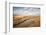 Theddlethorpe Dunes, Lincolnshire Coast, Lincolnshire, England, United Kingdom, Europe-Bill Ward-Framed Photographic Print