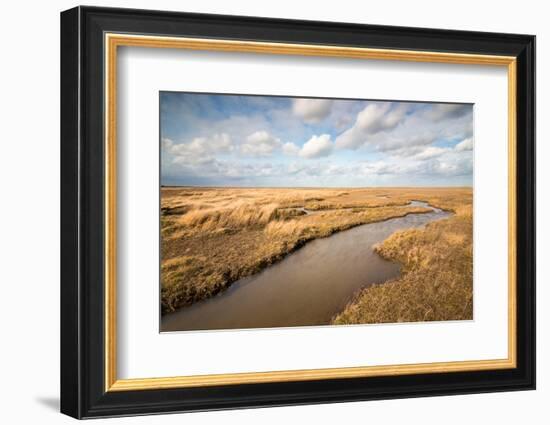 Theddlethorpe Dunes, Lincolnshire Coast, Lincolnshire, England, United Kingdom, Europe-Bill Ward-Framed Photographic Print