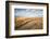 Theddlethorpe Dunes, Lincolnshire Coast, Lincolnshire, England, United Kingdom, Europe-Bill Ward-Framed Photographic Print