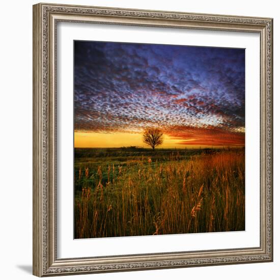 Thee Lone Tree-Adrian Campfield-Framed Photographic Print