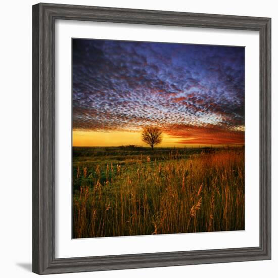 Thee Lone Tree-Adrian Campfield-Framed Photographic Print