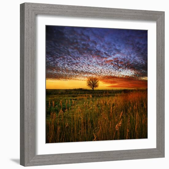 Thee Lone Tree-Adrian Campfield-Framed Photographic Print