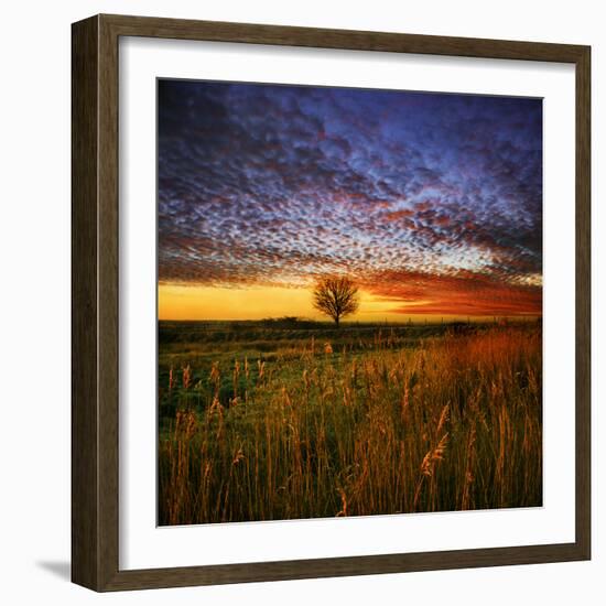 Thee Lone Tree-Adrian Campfield-Framed Photographic Print