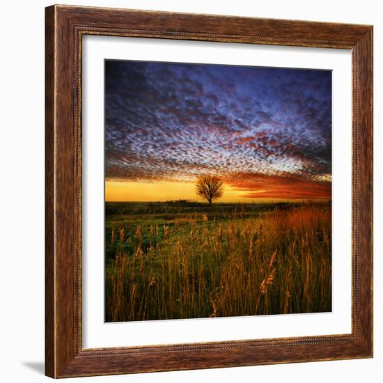 Thee Lone Tree-Adrian Campfield-Framed Photographic Print