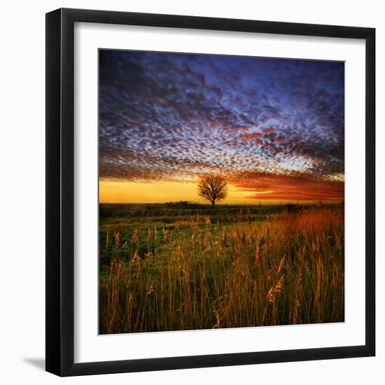 Thee Lone Tree-Adrian Campfield-Framed Photographic Print