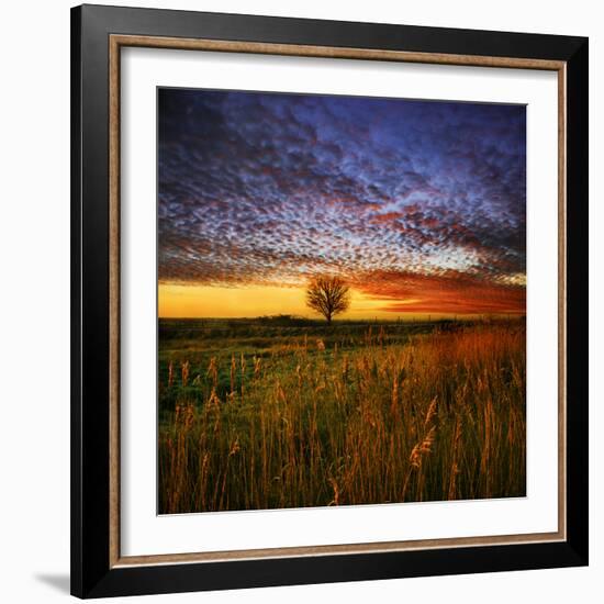 Thee Lone Tree-Adrian Campfield-Framed Photographic Print