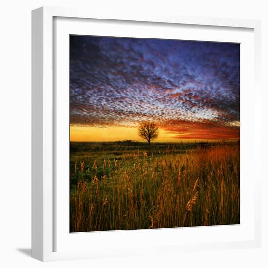 Thee Lone Tree-Adrian Campfield-Framed Photographic Print