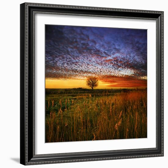 Thee Lone Tree-Adrian Campfield-Framed Photographic Print