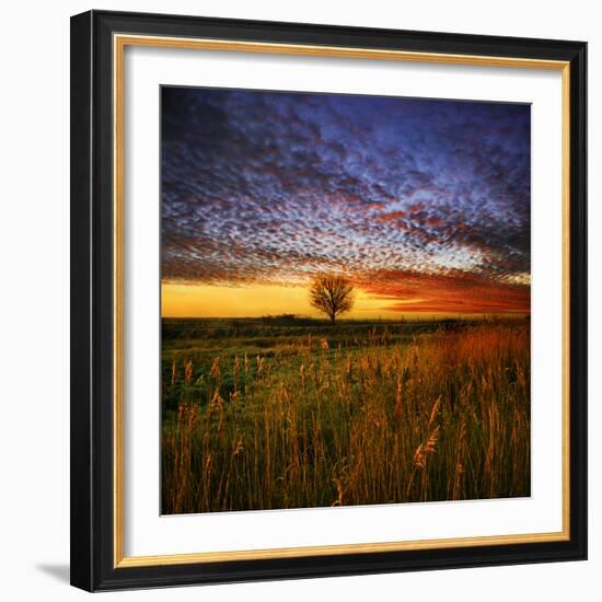 Thee Lone Tree-Adrian Campfield-Framed Photographic Print