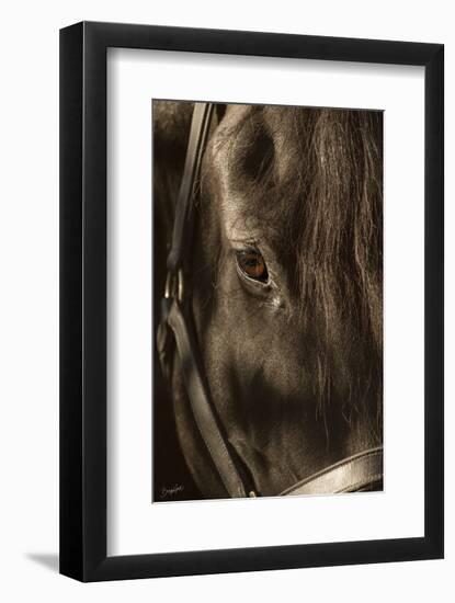 Their Eyes are the Window to their Souls-Barry Hart-Framed Art Print