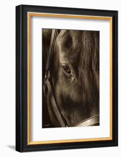 Their Eyes are the Window to their Souls-Barry Hart-Framed Art Print