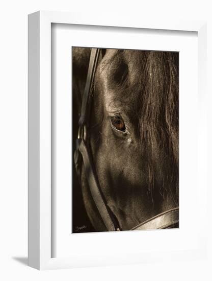Their Eyes are the Window to their Souls-Barry Hart-Framed Art Print