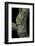 Theloderma Corticale (Tonkin Bug-Eyed Frog, Mossy Frog)-Paul Starosta-Framed Photographic Print