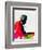 Thelonious Watercolor-Lora Feldman-Framed Premium Giclee Print