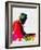 Thelonious Watercolor-Lora Feldman-Framed Art Print