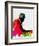 Thelonious Watercolor-Lora Feldman-Framed Art Print