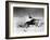 Them!, 1954-null-Framed Photo