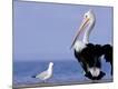 Premium Photographic Print