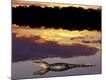Photographic Print