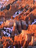 USA, Utah, Bryce Canyon with snow-Theo Allofs-Photographic Print