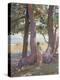 Stretched Canvas Print