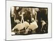 Premium Photographic Print