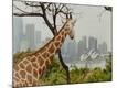 Premium Giclee Print