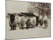 Premium Giclee Print