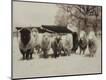 Premium Giclee Print
