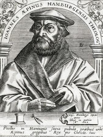 'Johann Aepinus' Art Print Theodor De Brij