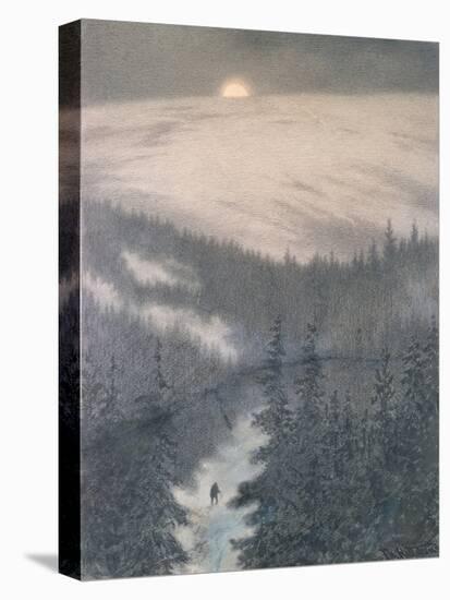 Stretched Canvas Print, , large