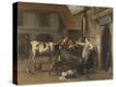 Stretched Canvas Print