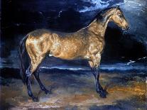 Napoleon's Stallion, Tamerlan-Théodore Géricault-Giclee Print