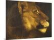 Giclee Print