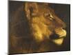 Giclee Print