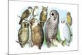 Premium Giclee Print