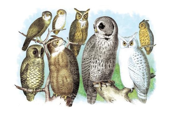 Premium Giclee Print, , large